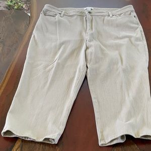 Coldwater Creek Natural Fit Soft Jeans Khaki Size 20W
